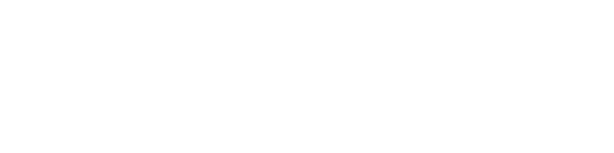 Sailing Willem Johannes logo